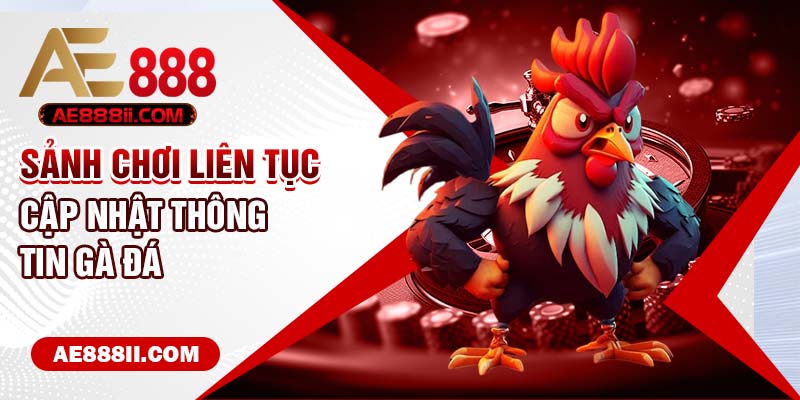 Sảnh chơi liên tục cập nhật thông tin gà đá