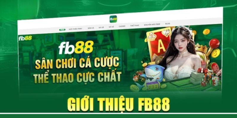 Đôi nét tiêu biểu về nhà cái FB88