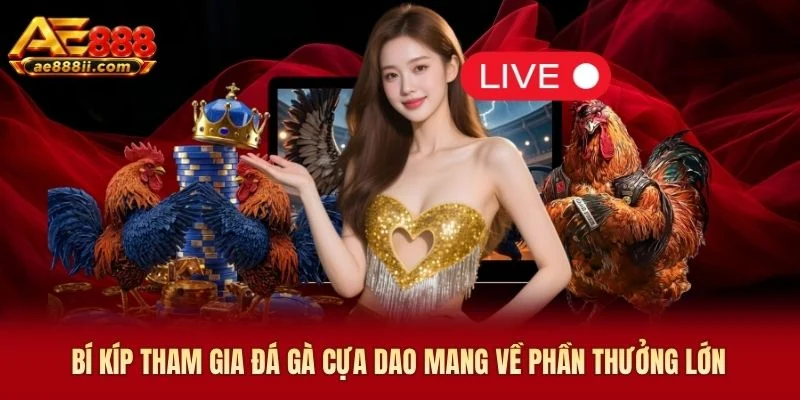 Bí kíp tham gia đá gà cựa dao mang về phần thưởng lớn