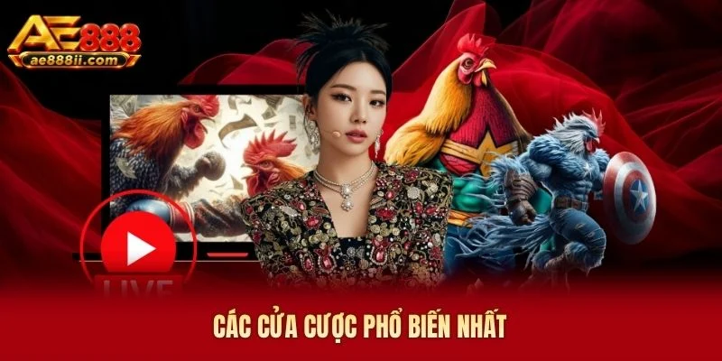 Các cửa cược phổ biến nhất