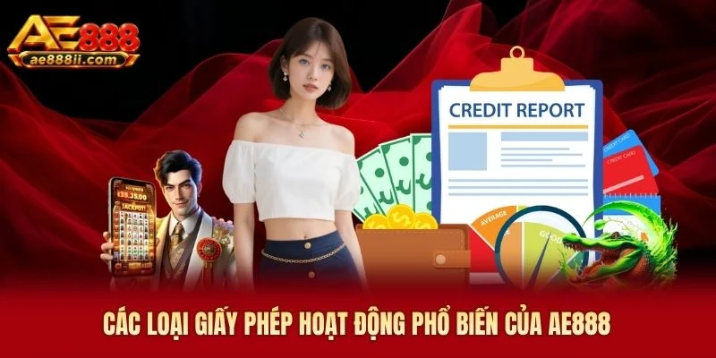 Các loại giấy phép hoạt động phổ biến của AE888