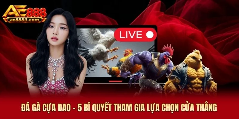 Đá Gà Cựa Dao - 5 Bí Quyết Tham Gia Lựa Chọn Cửa Thắng