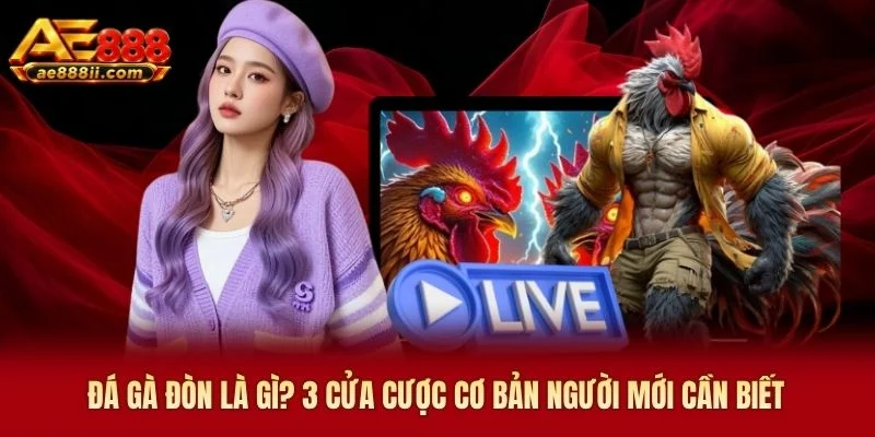 Đá Gà Đòn Là Gì? 3 Cửa Cược Cơ Bản Người Mới Cần Biết