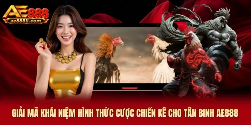 Giải mã khái niệm hình thức cược chiến kê cho tân binh AE888